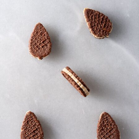 masterclas-ester-roelas-1