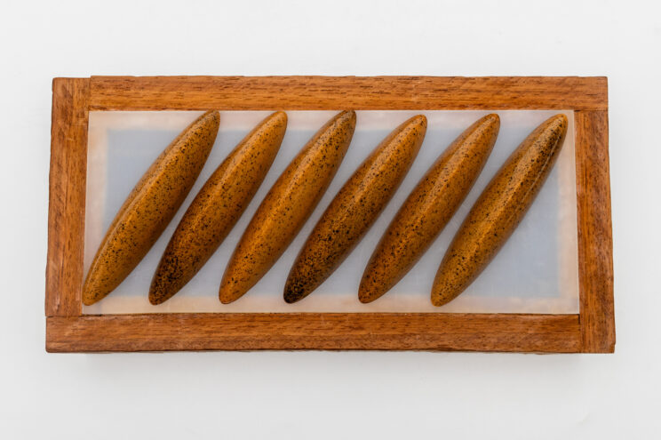 jmariaribe_marzo_2026-36